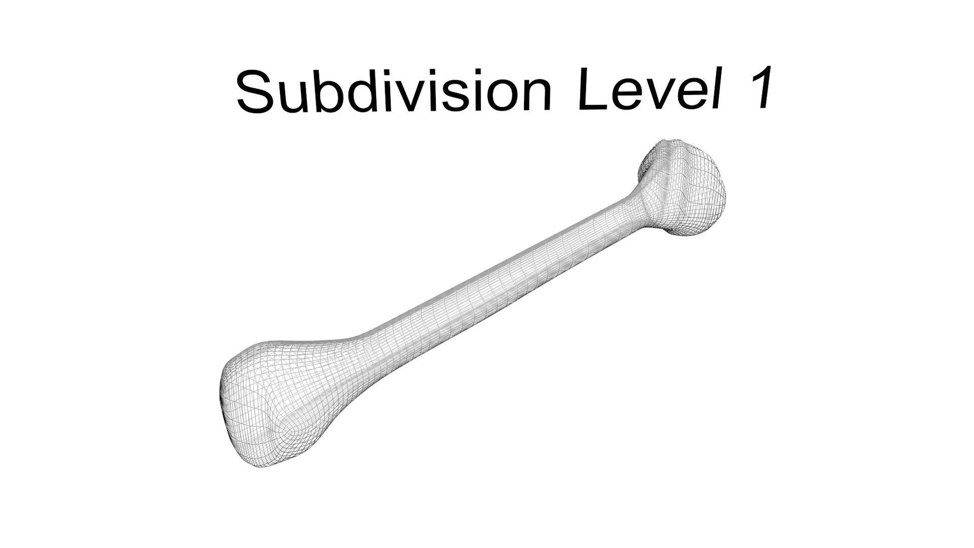 Human Bone 3D model_11