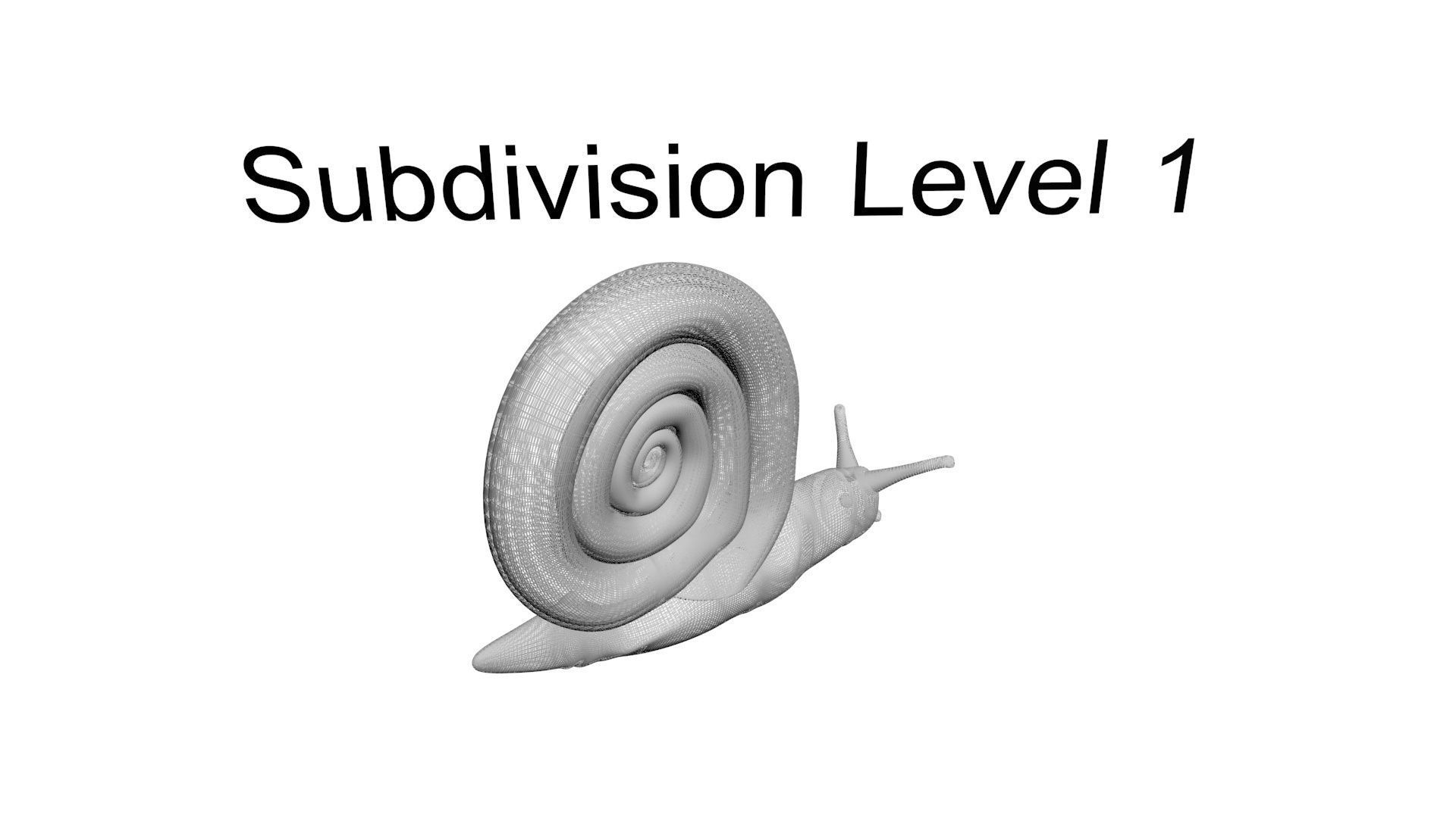 Snail 3D model_20