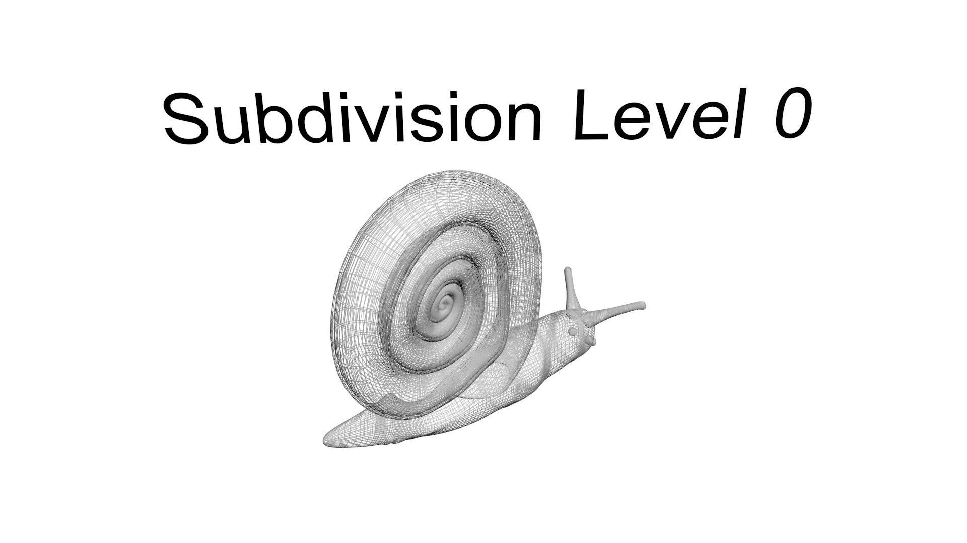 Snail 3D model_21