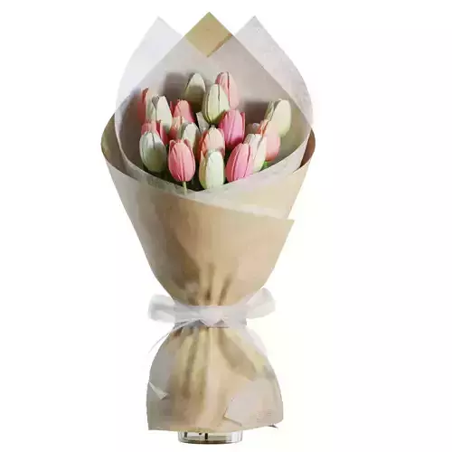 Flower Set 20 - Pink and White Tulips Bouquet
