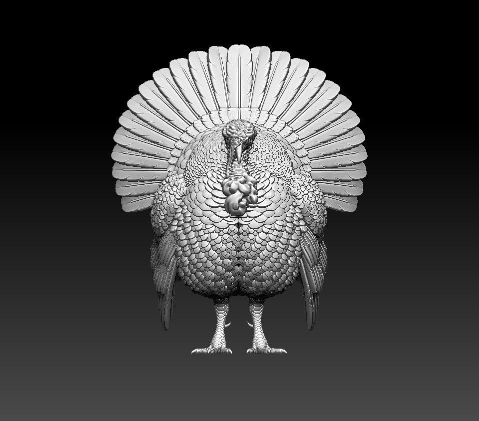 Turkey thanksgiving 3D print model_28