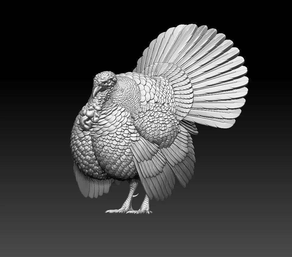 Turkey thanksgiving 3D print model_0