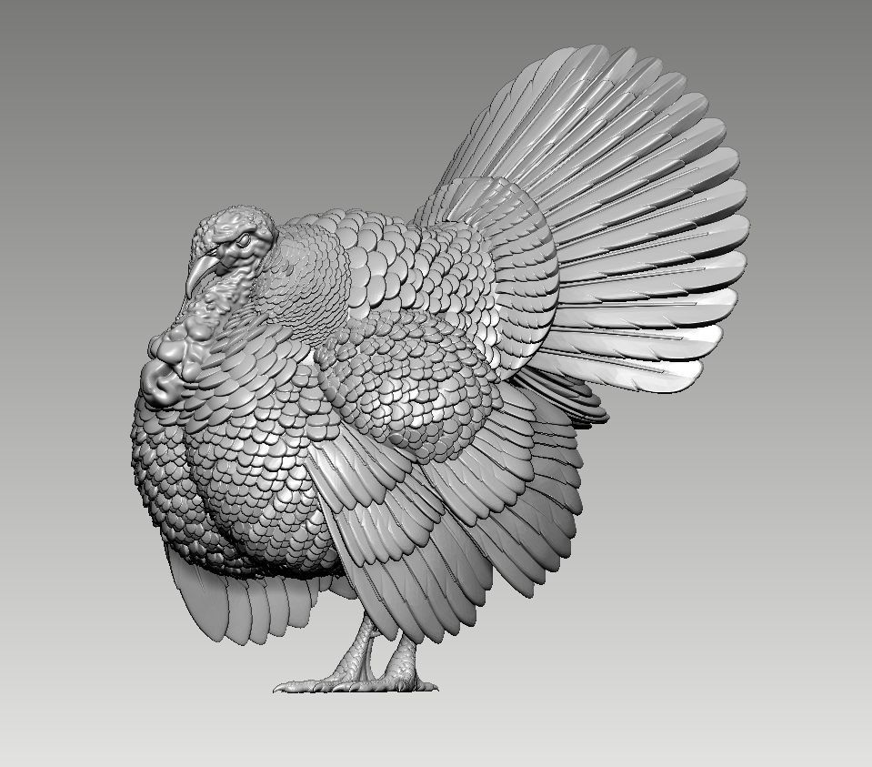 Turkey thanksgiving 3D print model_60