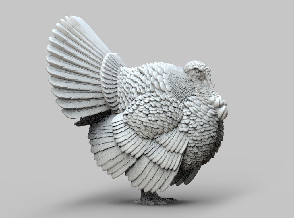 Turkey thanksgiving 3D print model_61