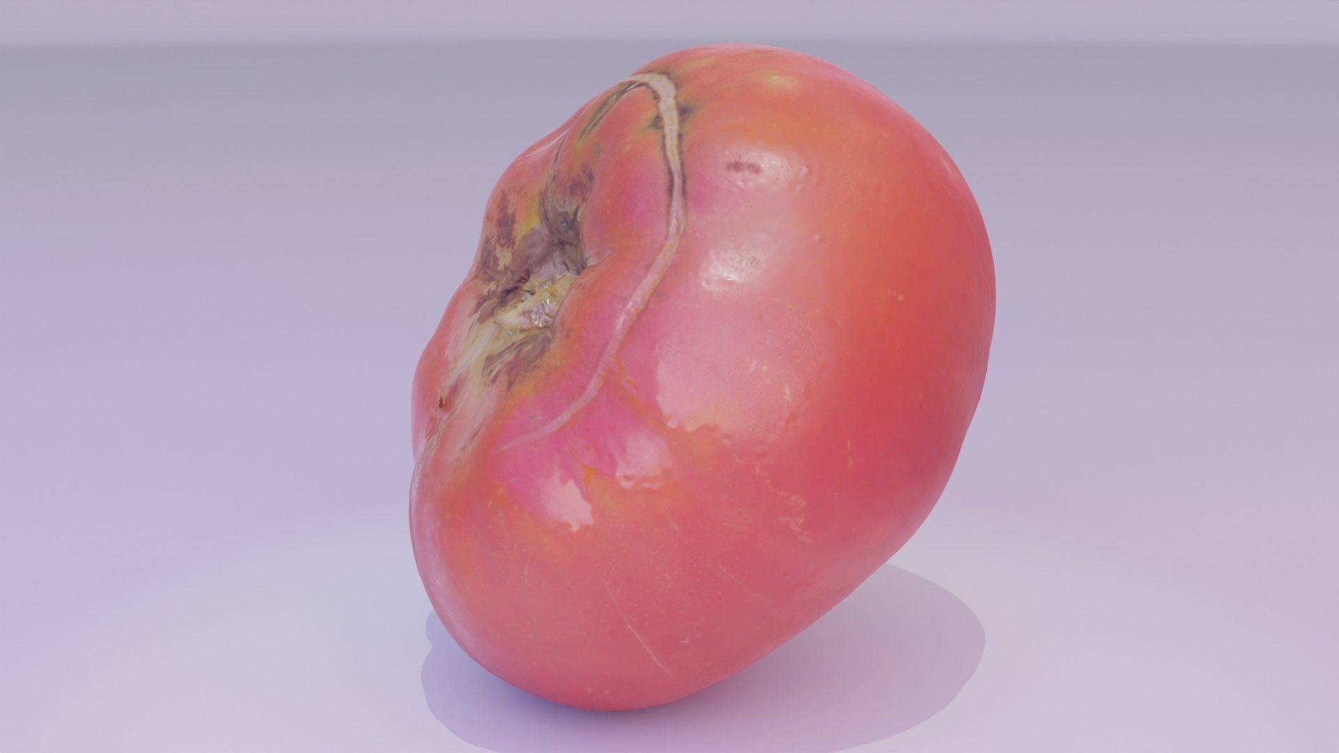 Tomato 01 high-poly 3D model_20