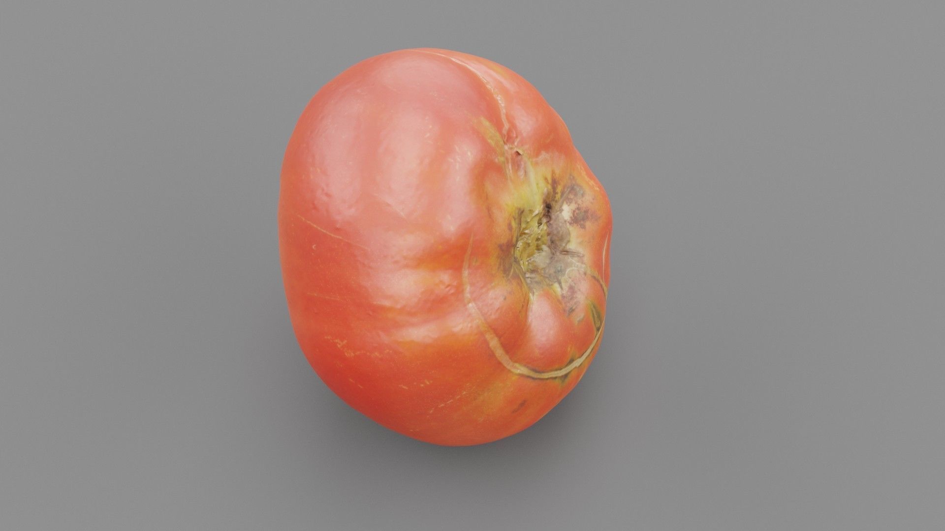 Tomato 01 high-poly 3D model_29