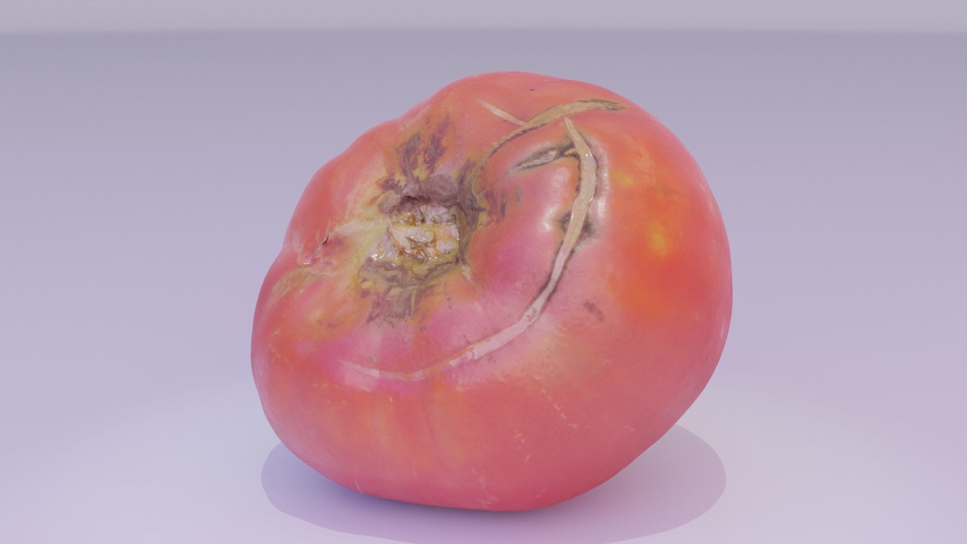 Tomato 01 high-poly 3D model_11