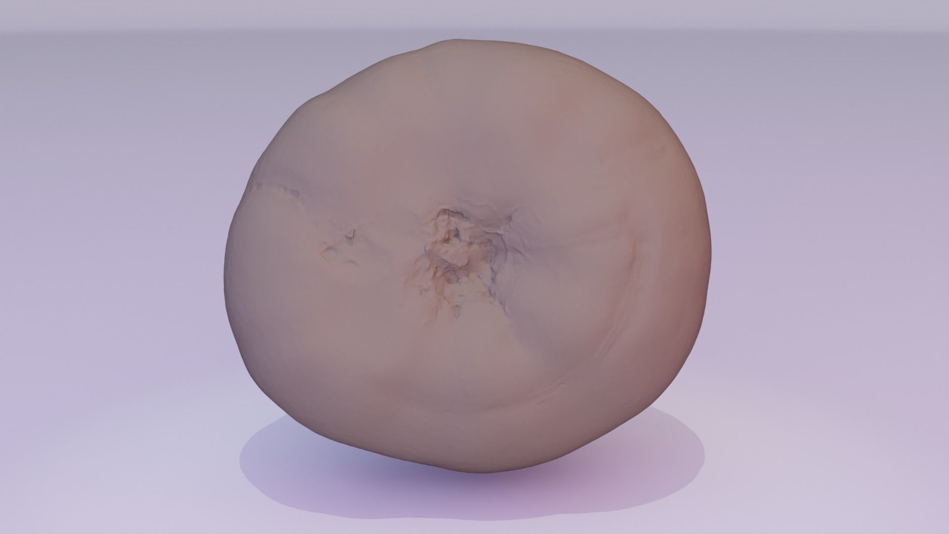 Tomato 01 high-poly 3D model_33