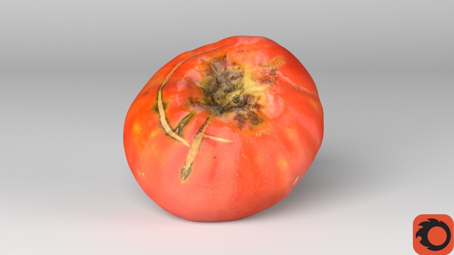 Tomato 01 high-poly 3D model_36