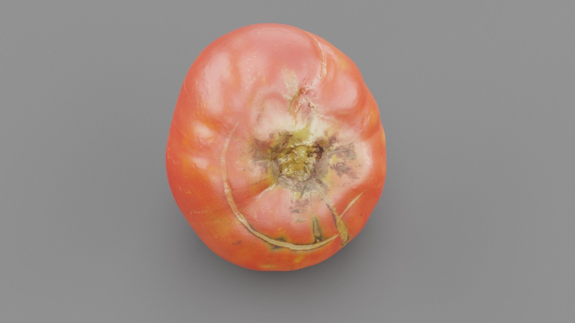 Tomato 01 high-poly 3D model_28
