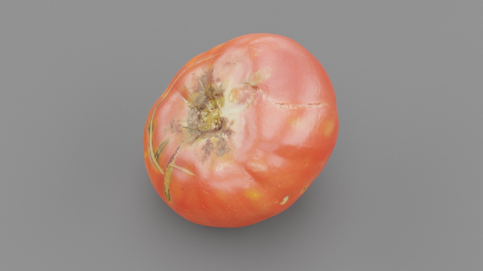 Tomato 01 high-poly 3D model_26