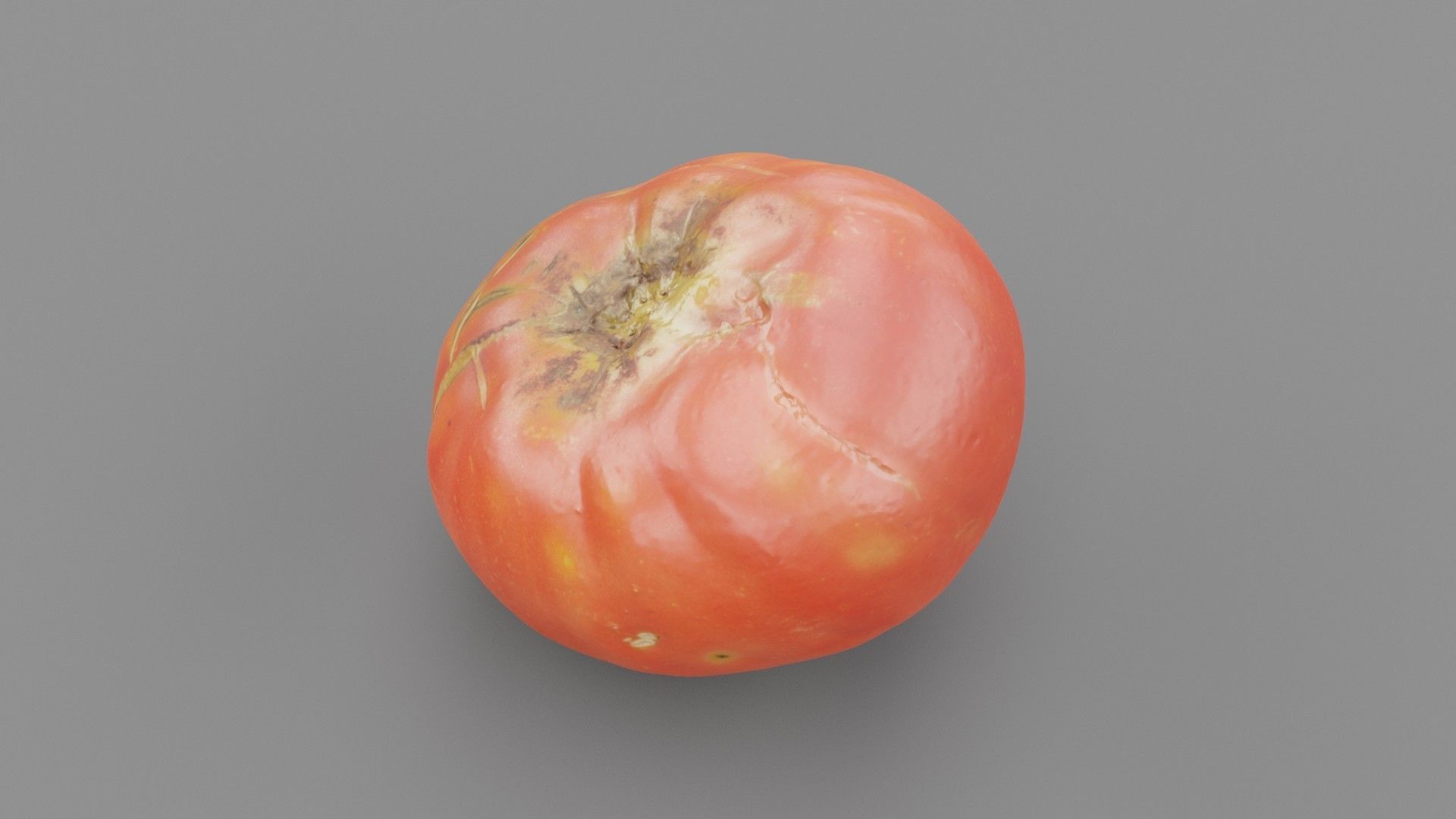 Tomato 01 high-poly 3D model_25