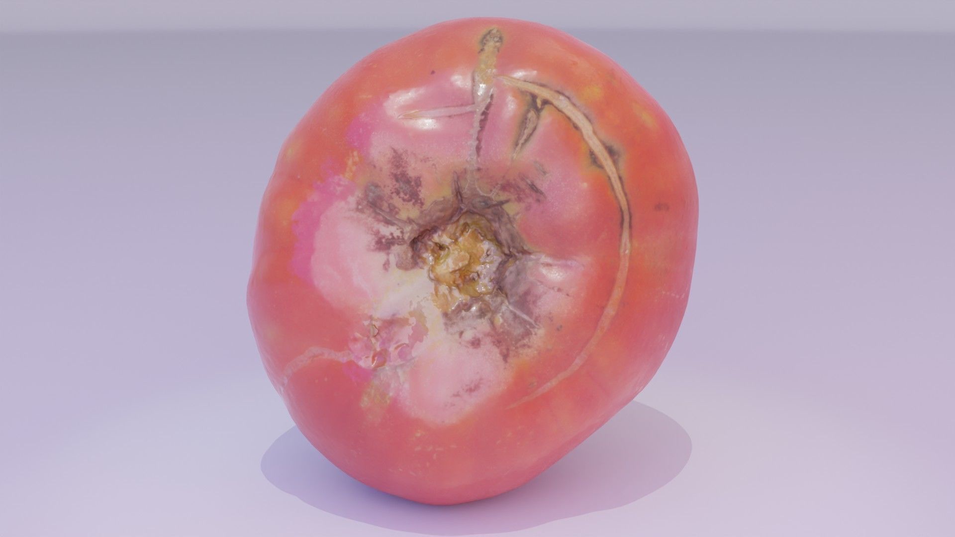 Tomato 01 high-poly 3D model_21