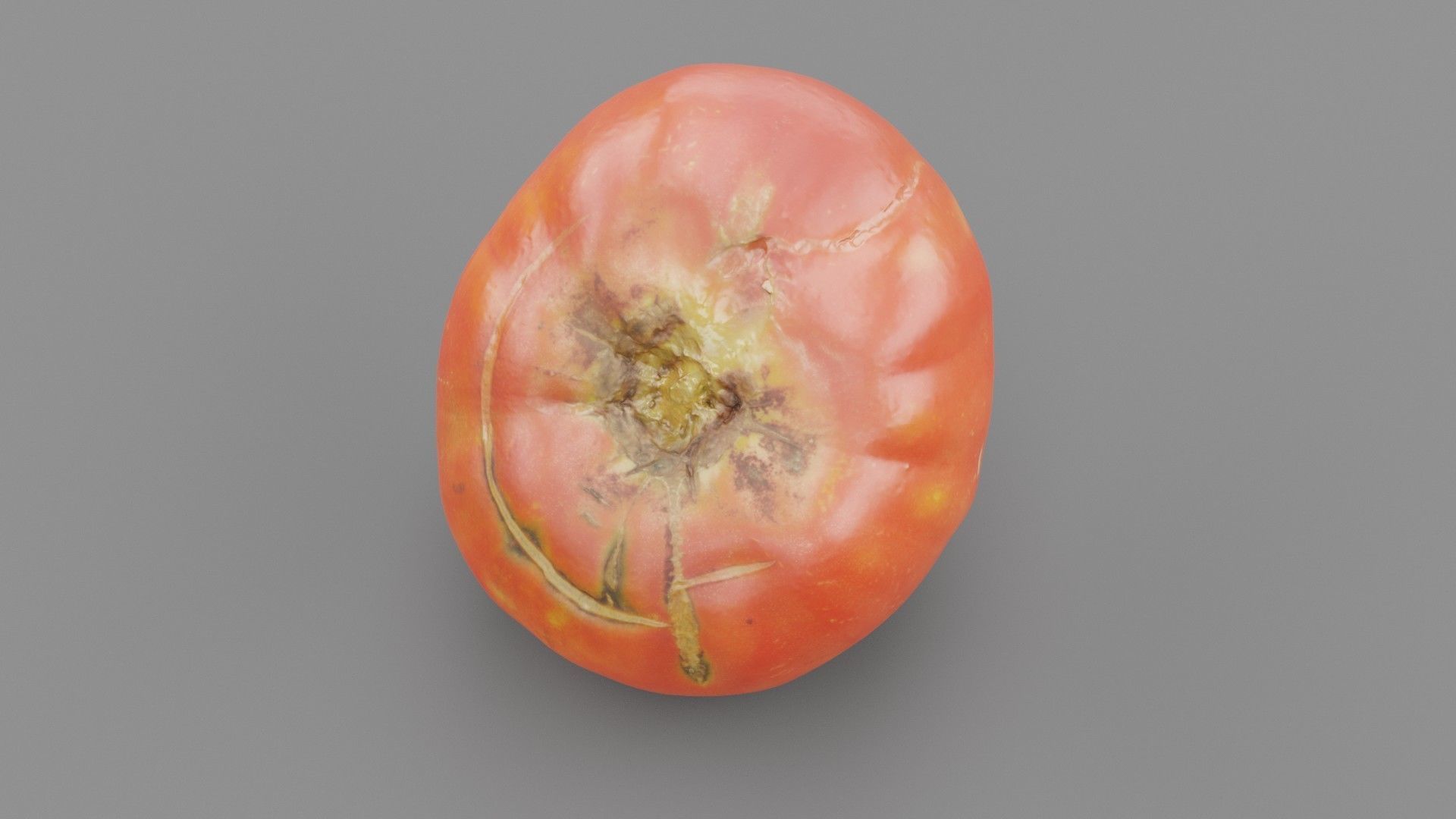 Tomato 01 high-poly 3D model_27