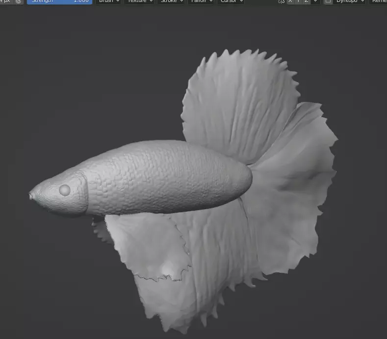 Betta Fish Animal 3D print model