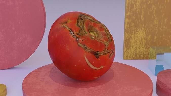 Tomato 02 high-poly 3D model 4