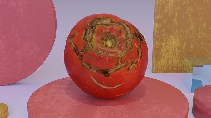 Tomato 02 high-poly 3D model 2