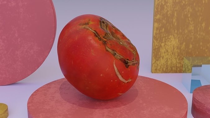 Tomato 02 high-poly 3D model 5