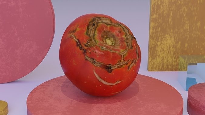 Tomato 02 high-poly 3D model 3