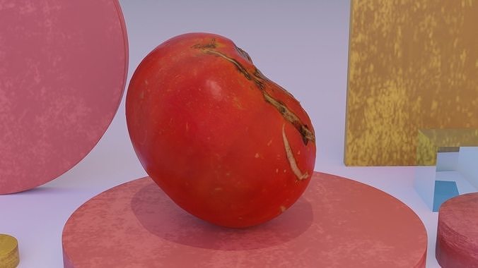 Tomato 02 high-poly 3D model 6