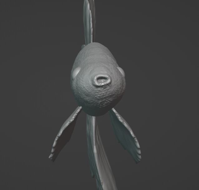 Betta Fish Angelfish 3D print model_3