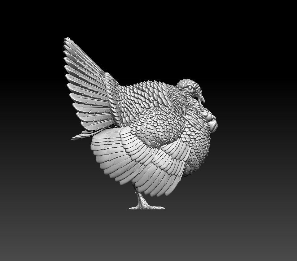 turkey thanksgiving 3D print model_42