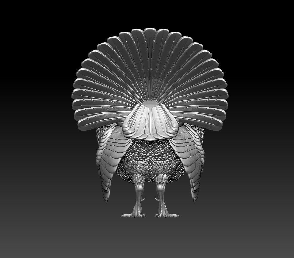 turkey thanksgiving 3D print model_59