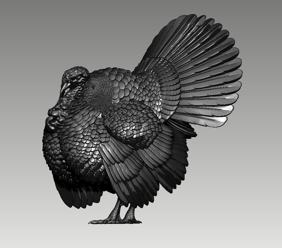 turkey thanksgiving 3D print model_47
