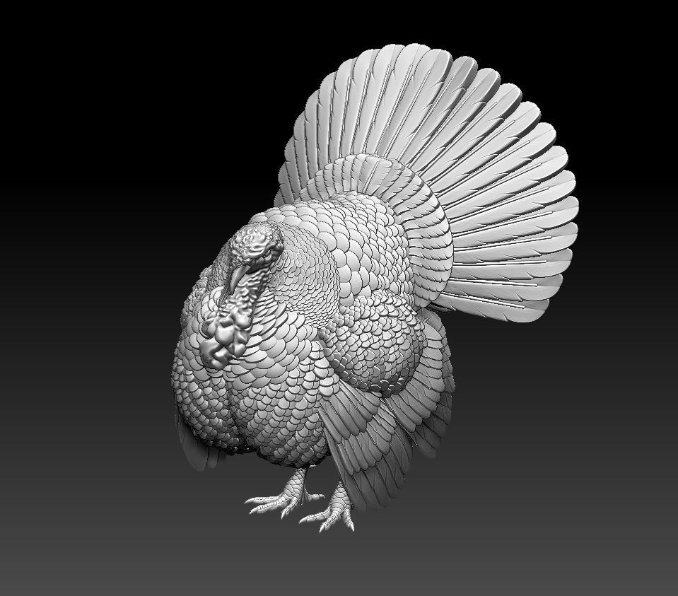 turkey thanksgiving 3D print model_61