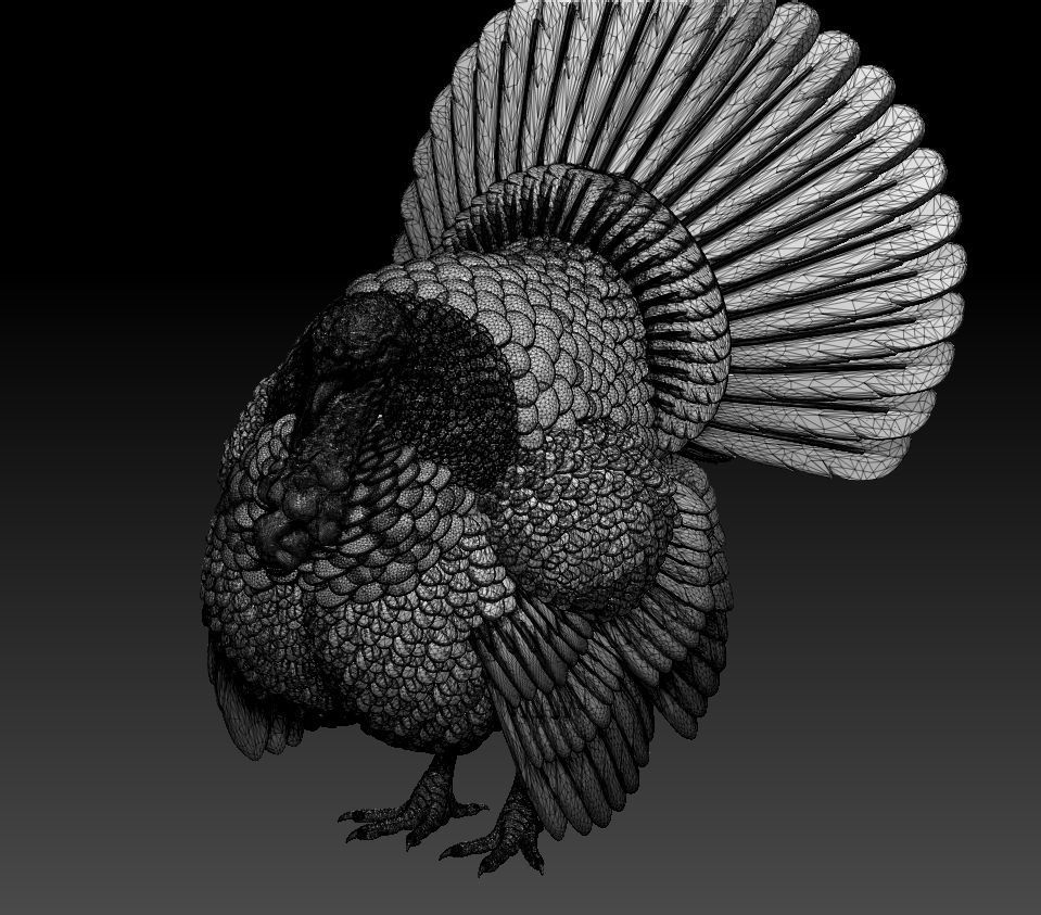 turkey thanksgiving 3D print model_10