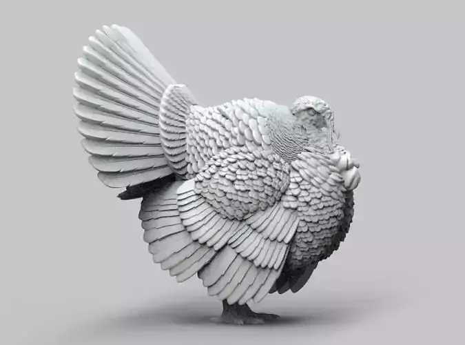 turkey thanksgiving 3D print model