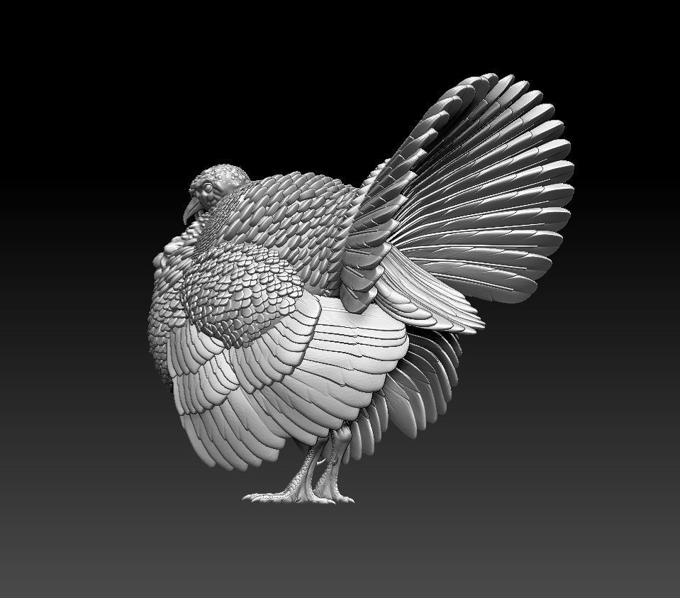 turkey thanksgiving 3D print model_41