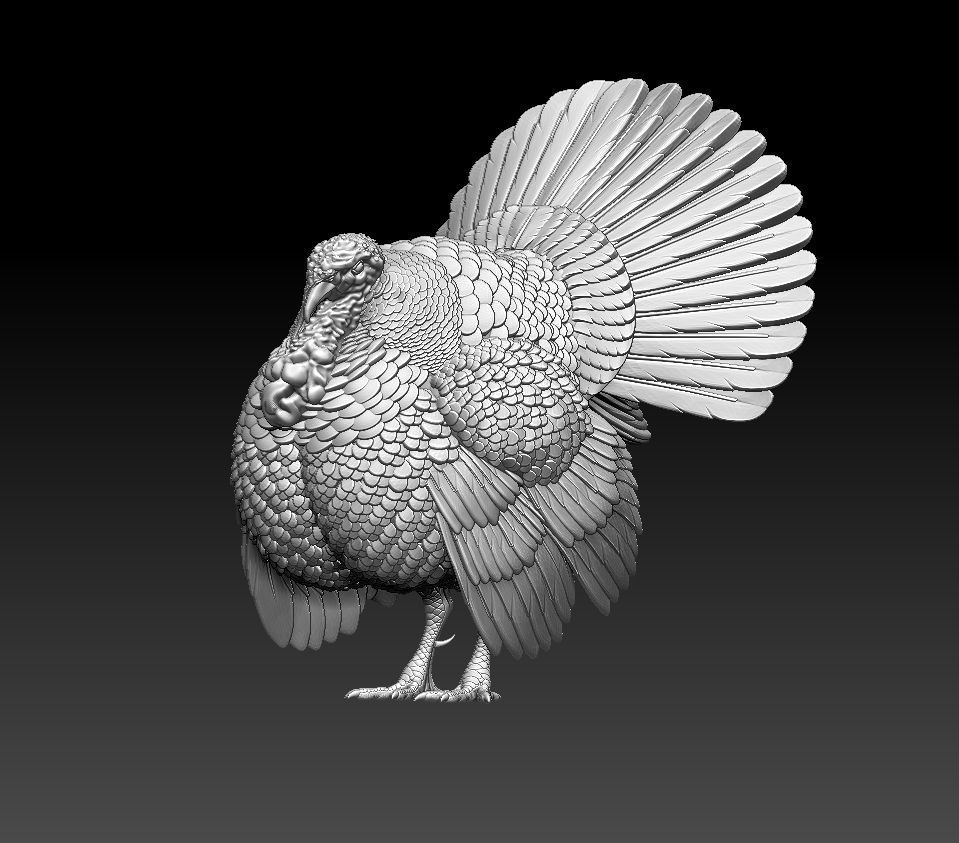 turkey thanksgiving 3D print model_21