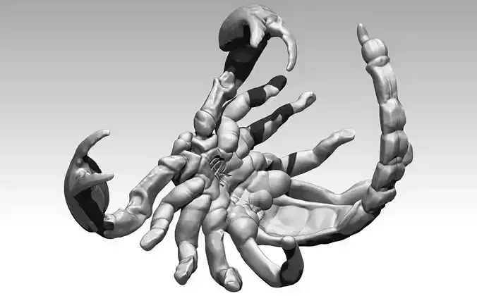 Unique High Detailed Screw Scorpion Jewelry Ring Man Woman RP 3D print model