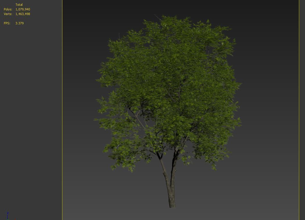 Fraxinus americana  3 3D model_7