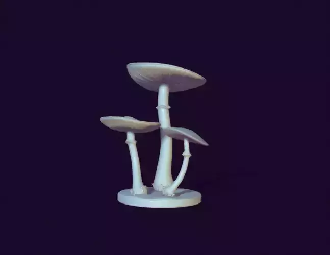 DEATH CAP TOY 3D print model