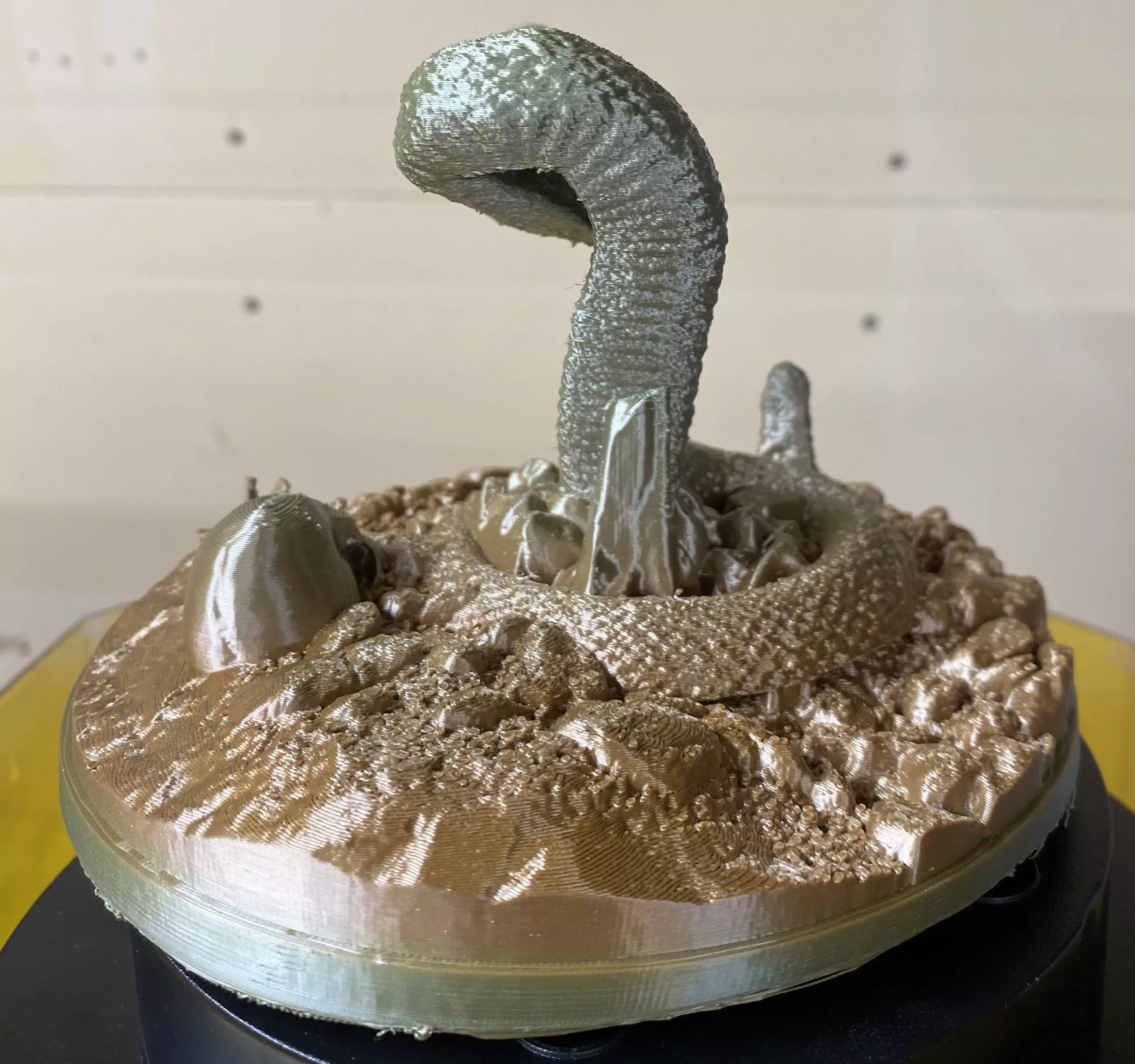 RATTLE SNAKE HOARDING GEMS WITH A PAST VICTIMS SKULL 3D print model_0