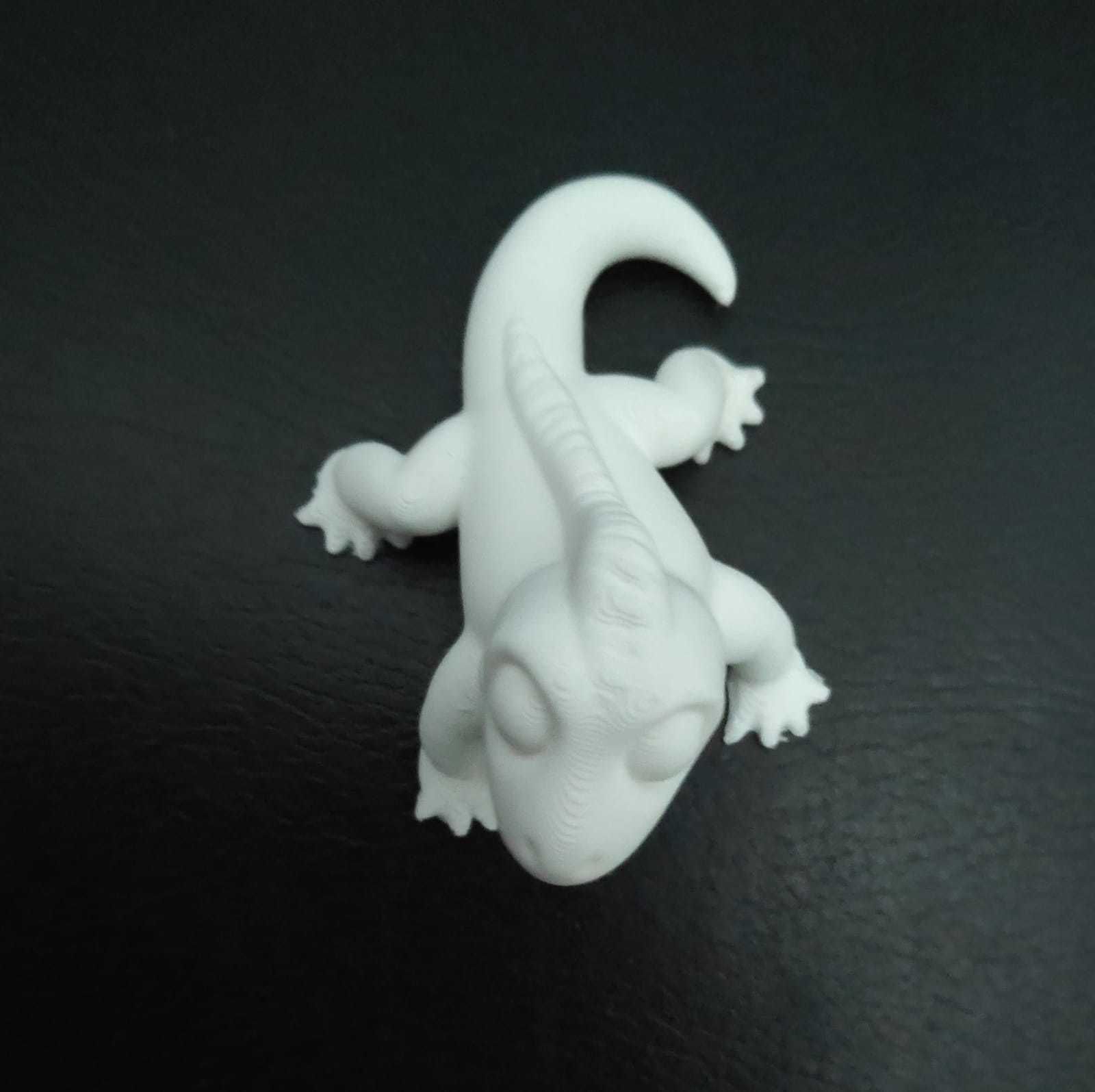 Iguana lizard 3D print model_13