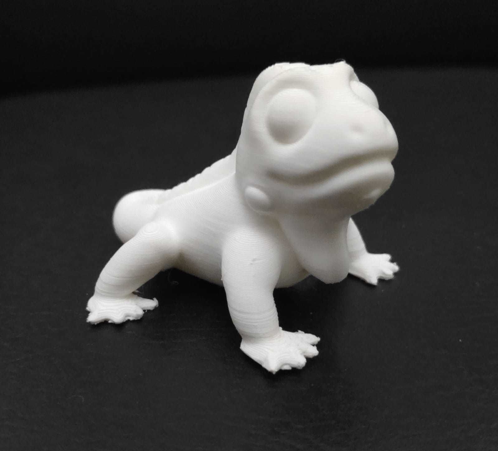 Iguana lizard 3D print model_9