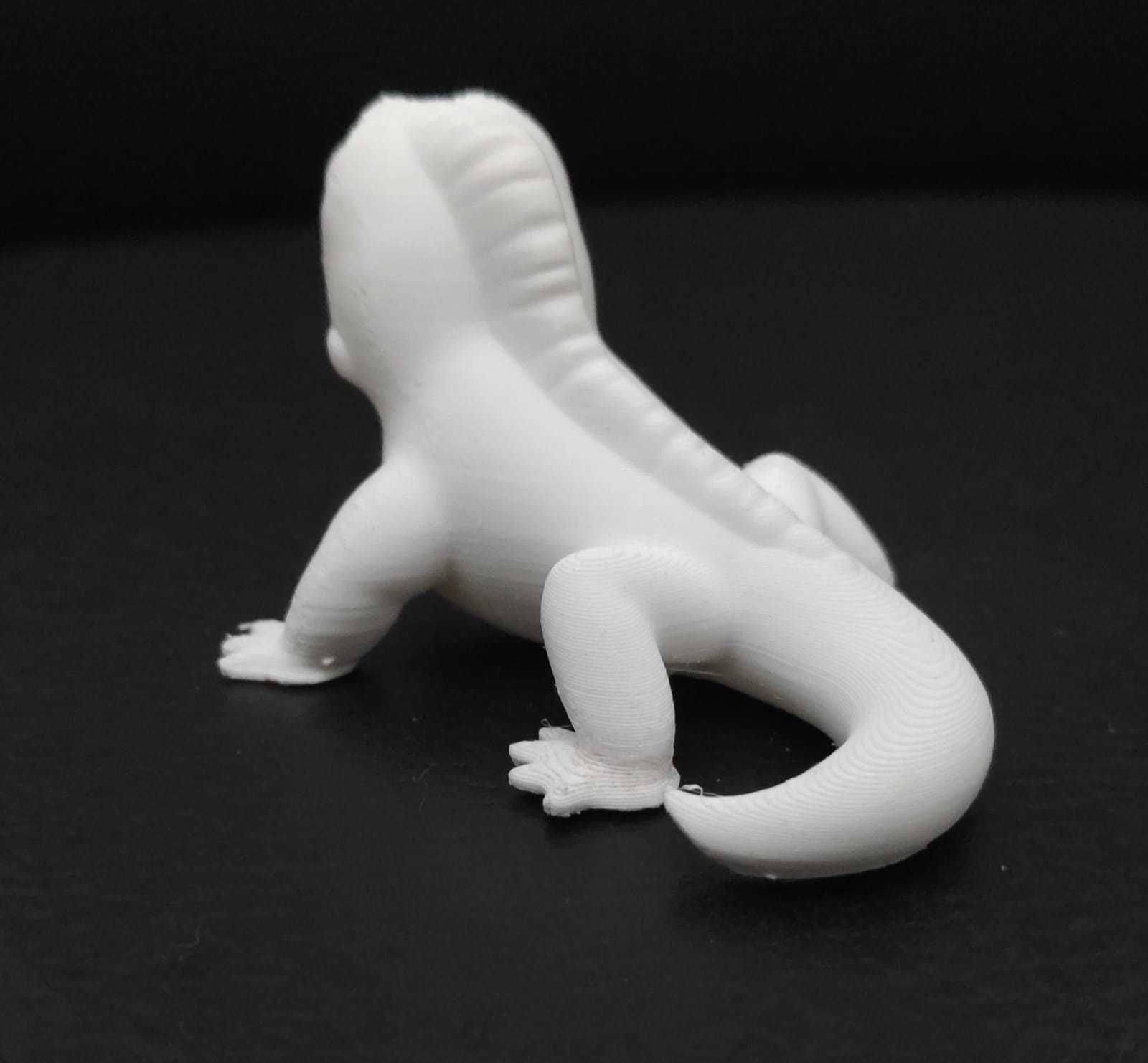 Iguana lizard 3D print model_6