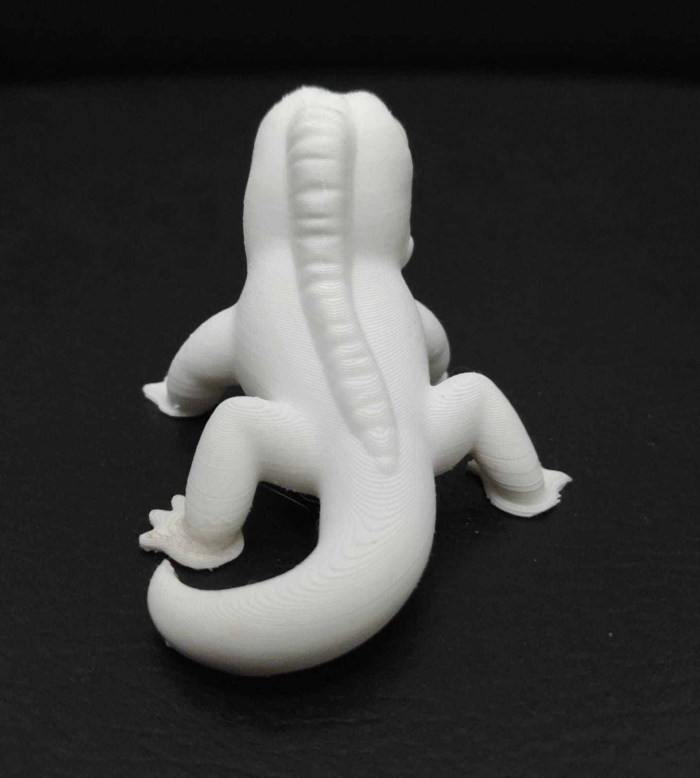 Iguana lizard 3D print model_7