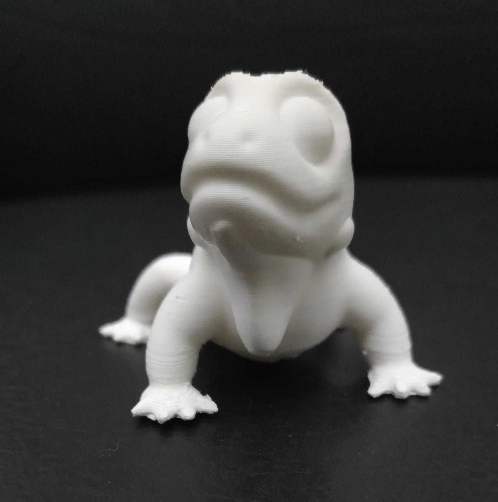 Iguana lizard 3D print model_10