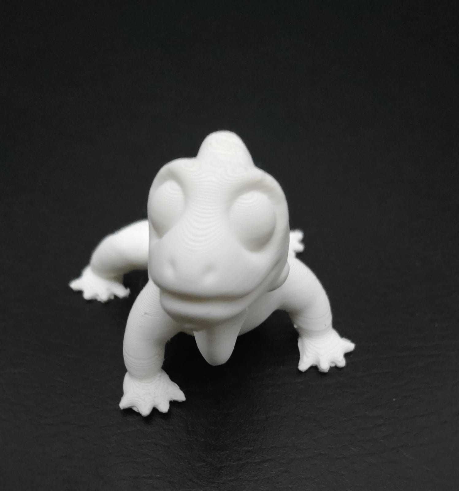 Iguana lizard 3D print model_12