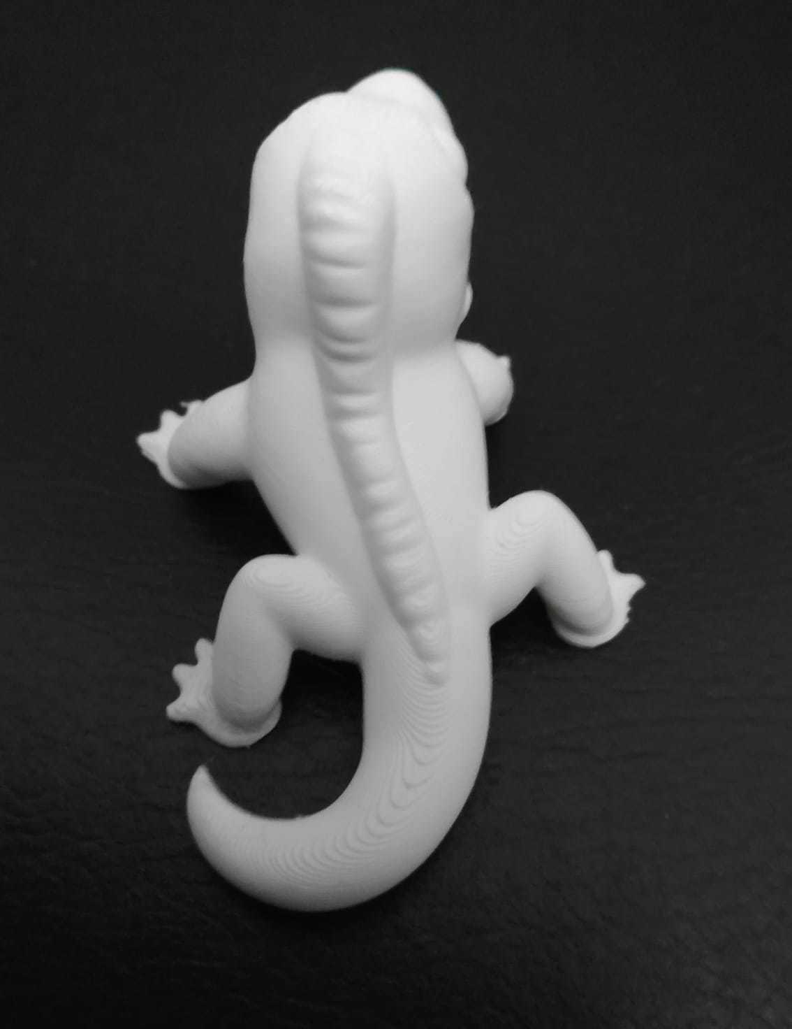 Iguana lizard 3D print model_8