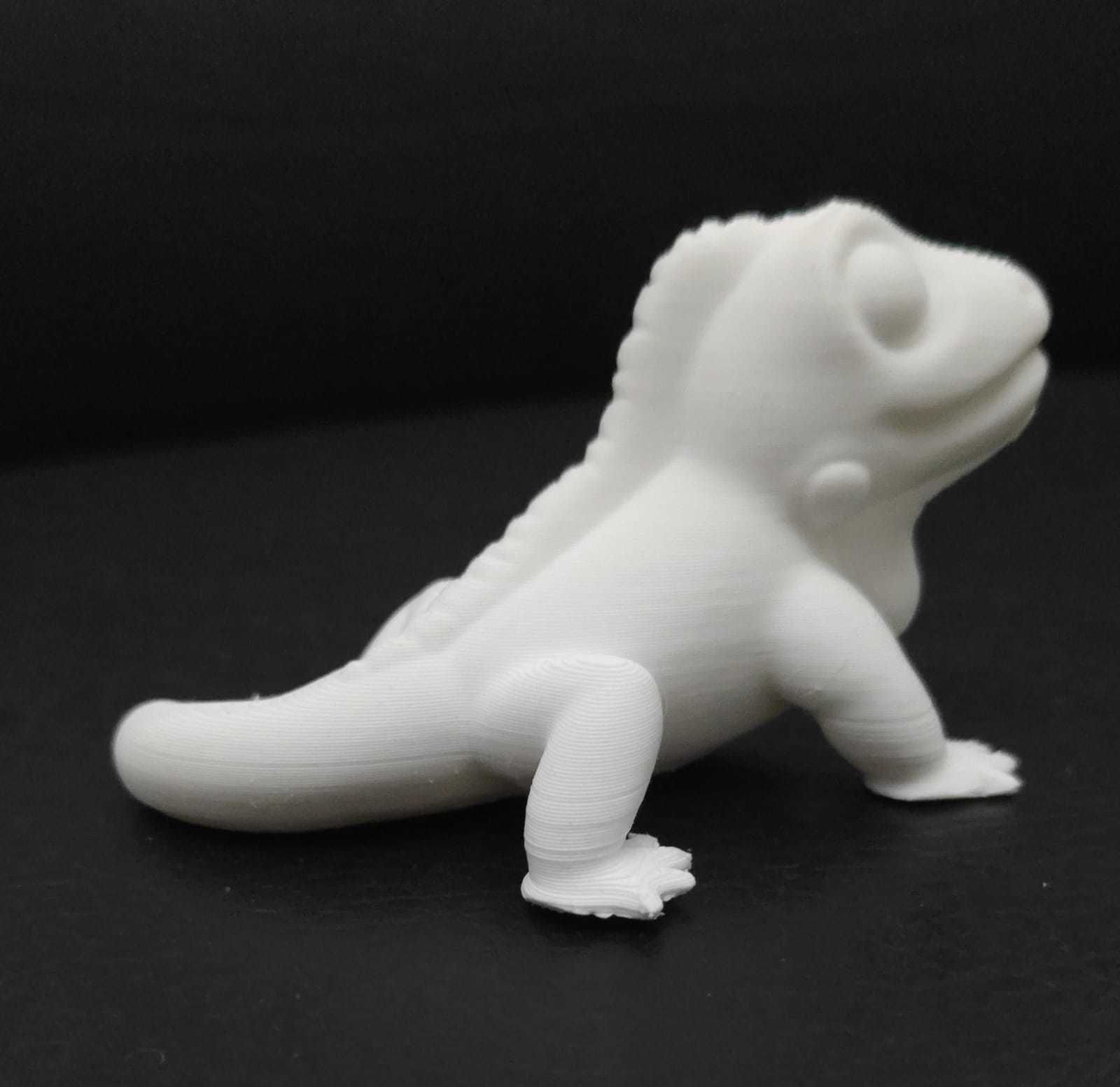 Iguana lizard 3D print model_5