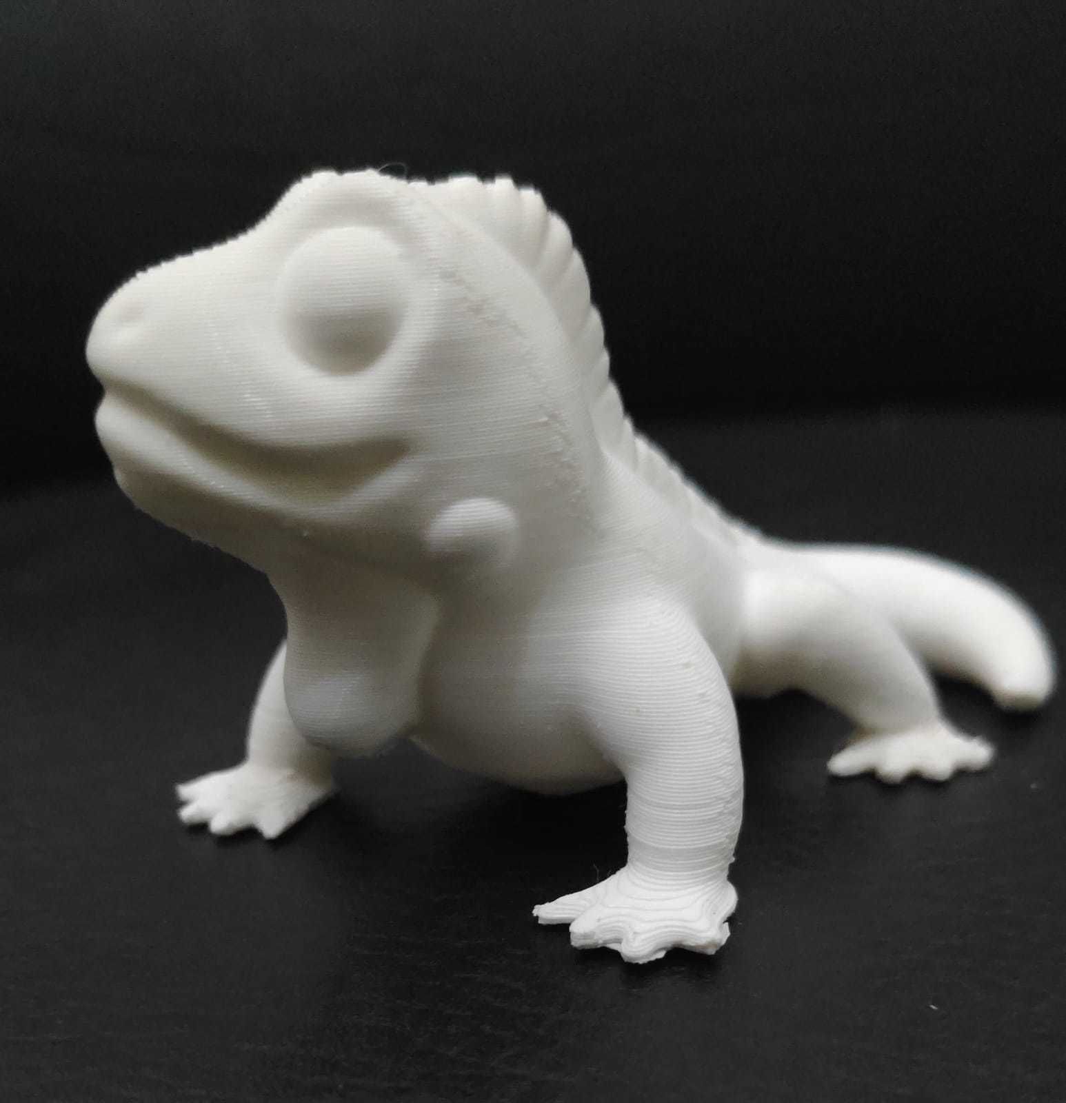 Iguana lizard 3D print model_3