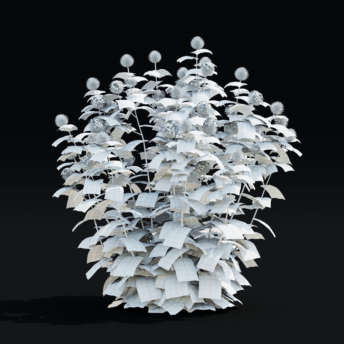 Echinops bannaticus flower 3D model_7