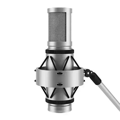 Microphone 2 stand