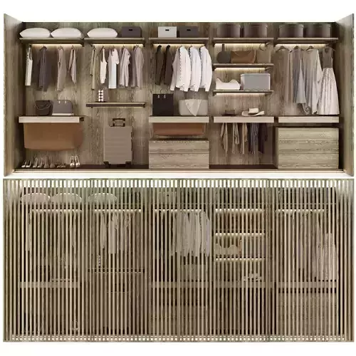 Wardrobe walk in closet design