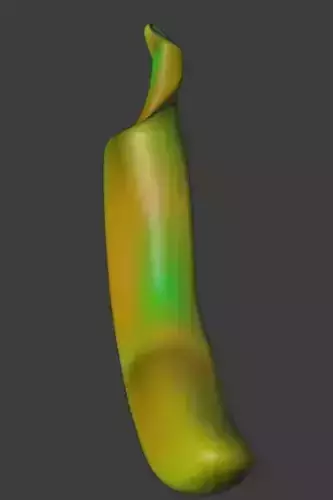 BANANA pepper